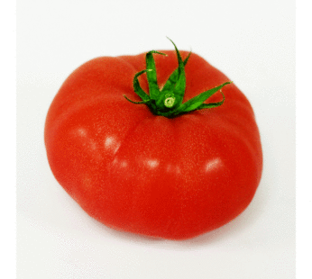 Tomate – Brandywine Rouge