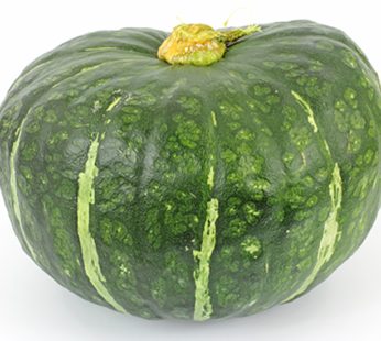 Courge – Burgess Buttercup