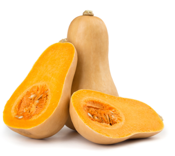 Courge – Butternut Waltham