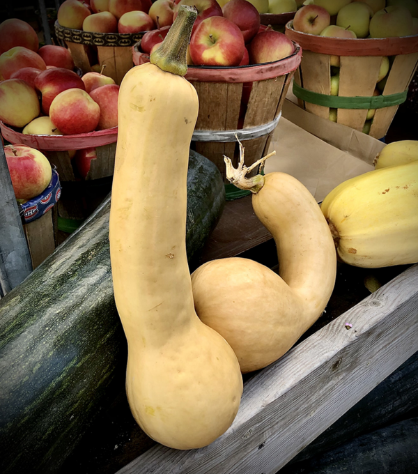 courge tromboncino