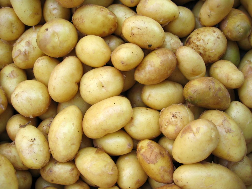 cultiver patates a la maison