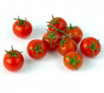 Tomate cerise – Rouge large