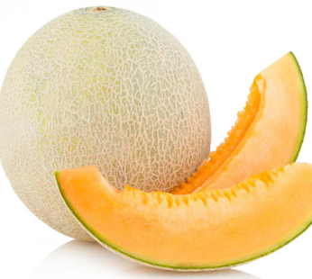Melon – Cantaloup Delicious 51