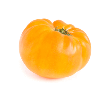 Tomate – Amana Orange