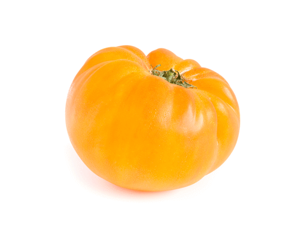 tomate amana