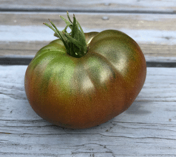 Tomate – Black from Tula