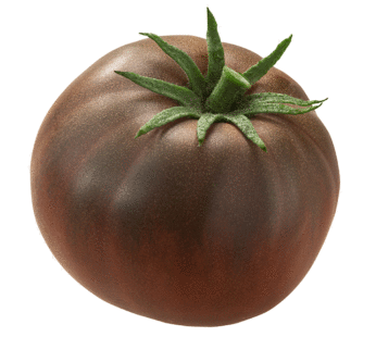 Tomate – Black Krim