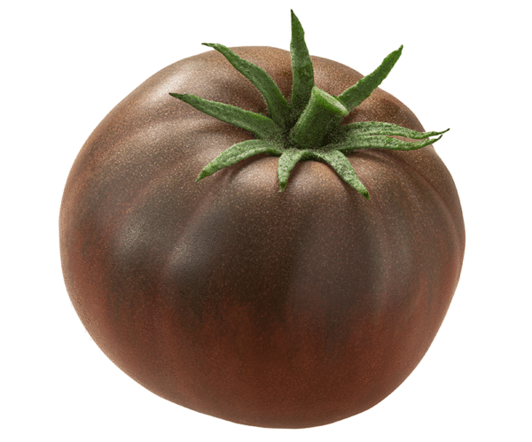 tomate black krim