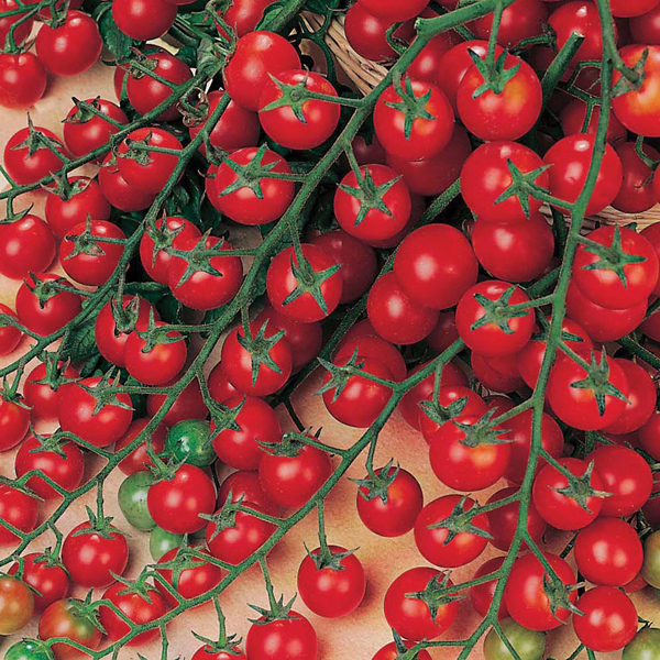 tomate cerise million