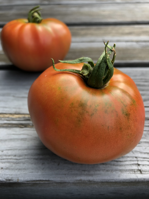 tomate moskvich