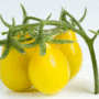 tomate poire jaune