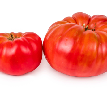 Tomate – Sicilian Saucer