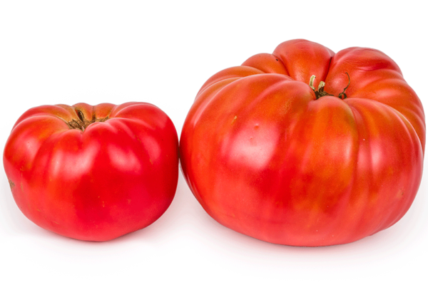 tomate sicilian saucer