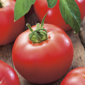 tomate-super-b