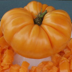tomato amana orange semence ancestrale