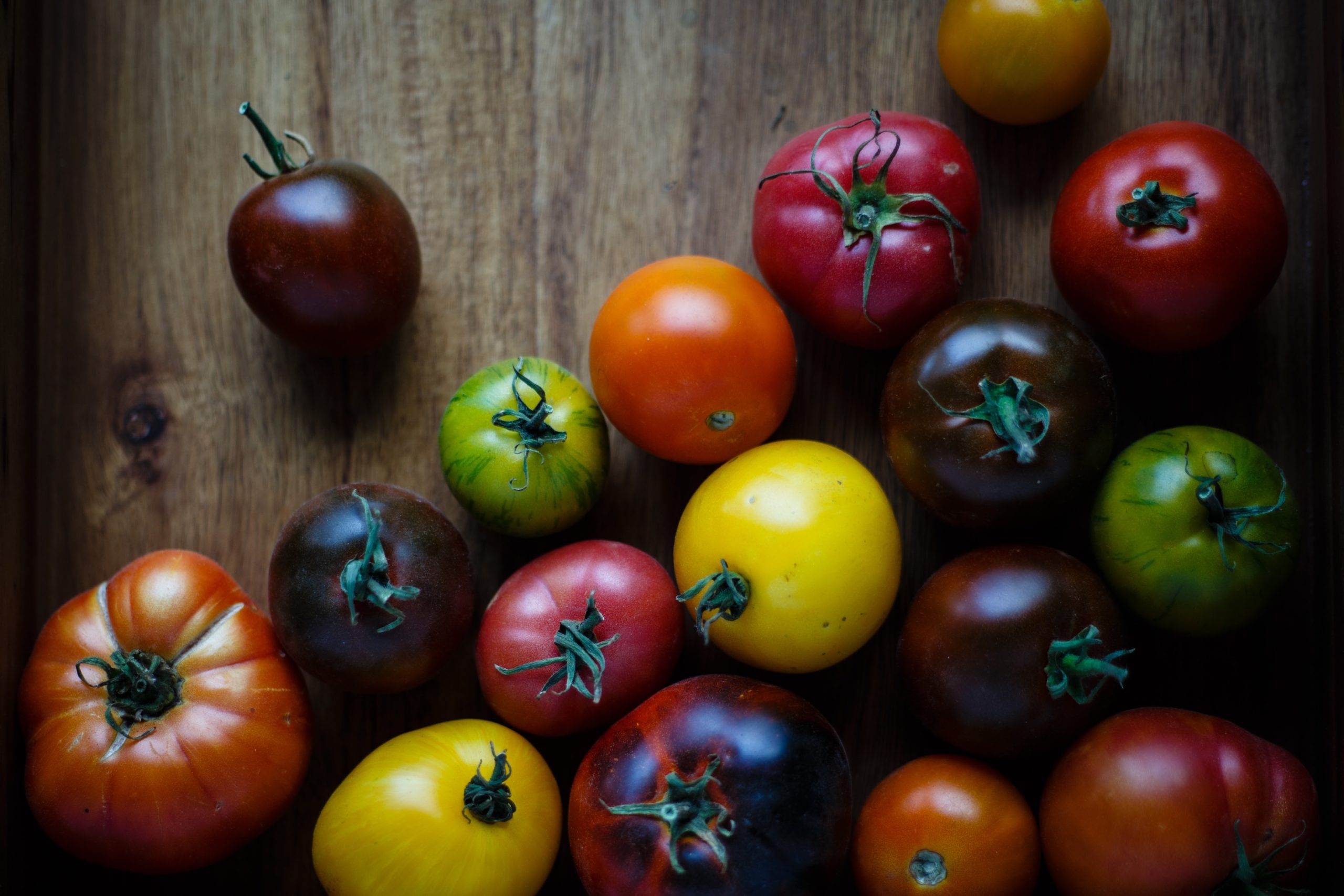 Tout ce que vous voulez savoir sur les tomates patrimoniales