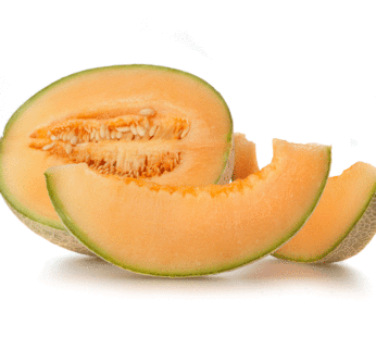 Melon – Cantaloup Hale’s Best