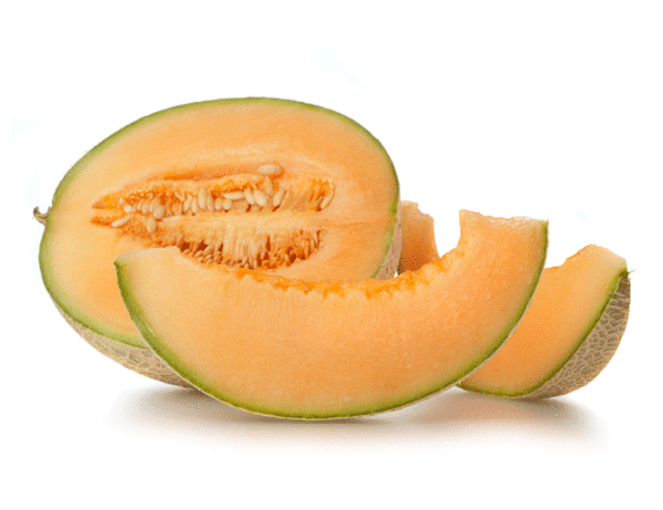 melon cantaloup hale's best