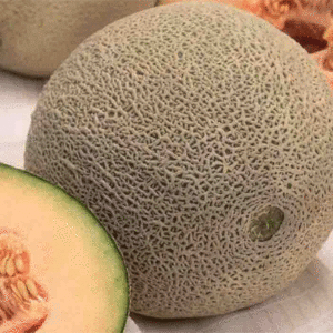 melon cantaloup hale's-best