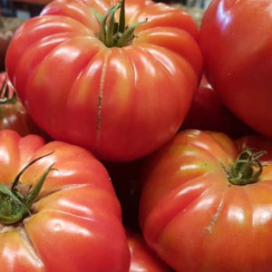 Légumes-tomate-BRANDYWINE Rouge 20 graines 