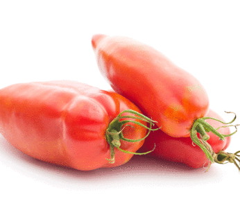 Tomate – San Marzano Gigante 3