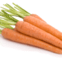 carotte tendersweet