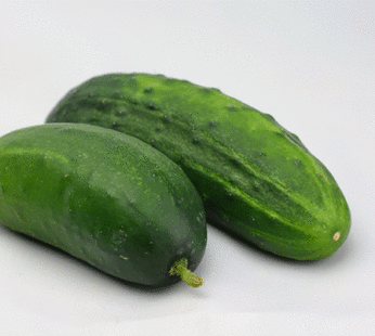 Concombre – Bush Pickle