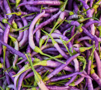 Piment – Cayenne violet