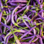 piment cayenne mauve violet Purple