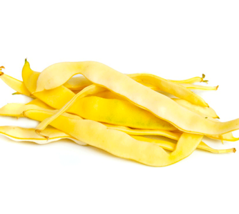 Haricot – Goldfield jaune