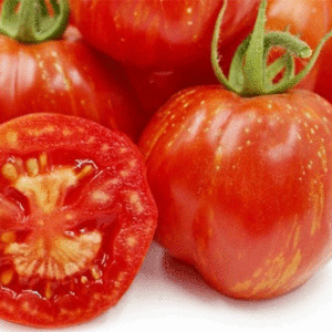 tomate stripped stuffer