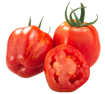 Tomate – Stuffer Striped