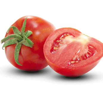Tomate – Sub Arctic Plenty