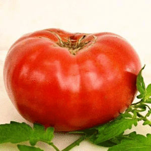 tomate watermelon beefsteak