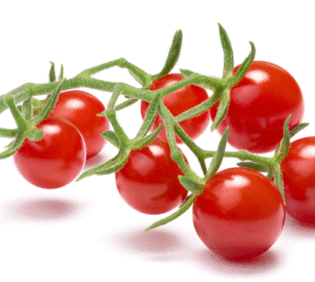 Tomate – Groseille Sweet Pea