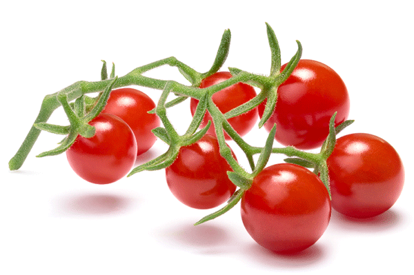 tomate groseille sweet pea rouge