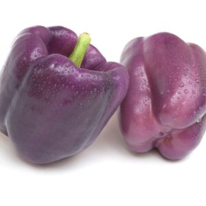 poivron purple beauty
