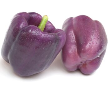 Poivron – Purple Beauty