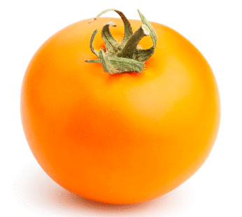 Tomate – Orange Queen