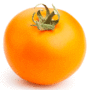 tomate orange queen